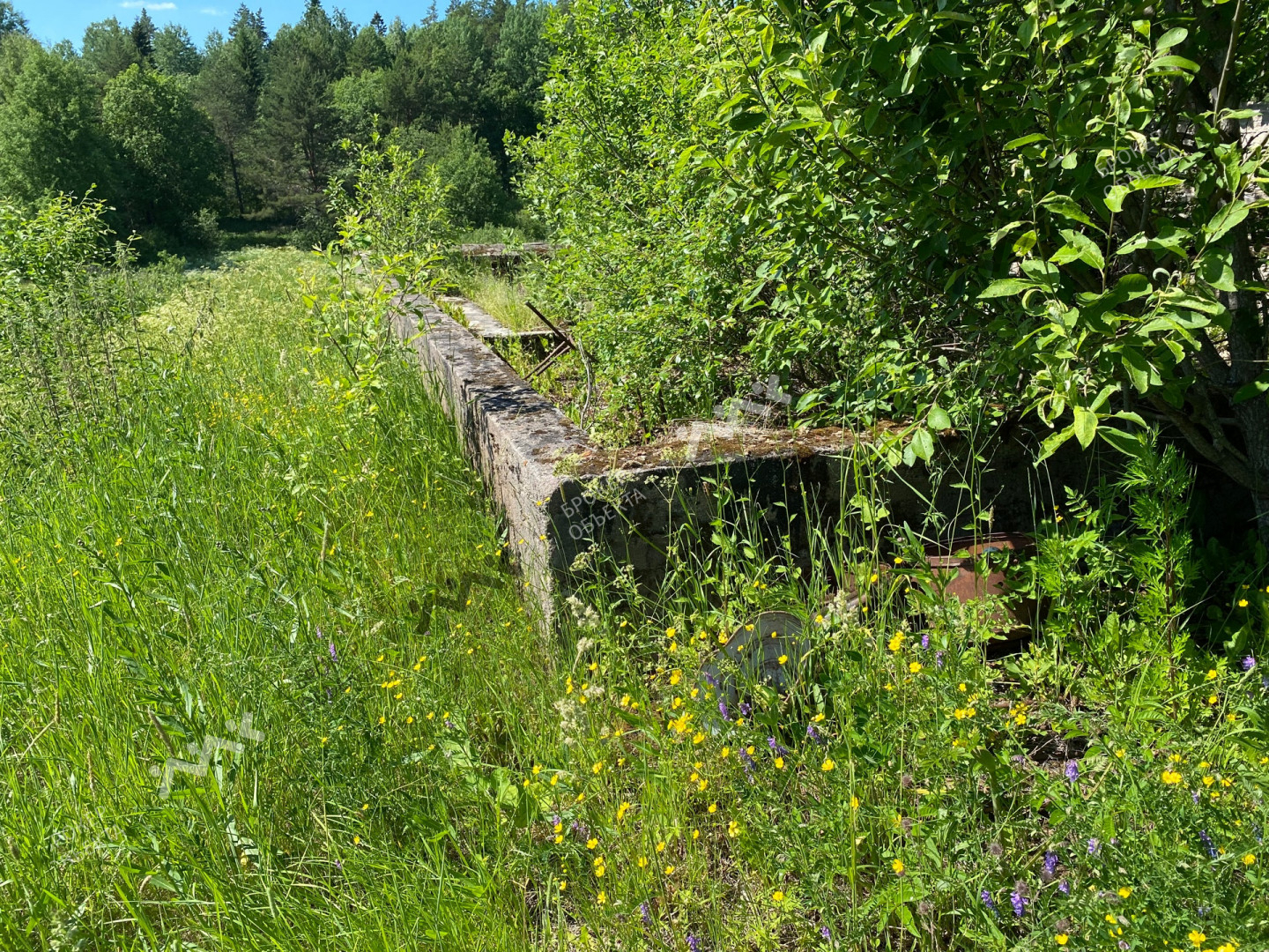 Фото объекта