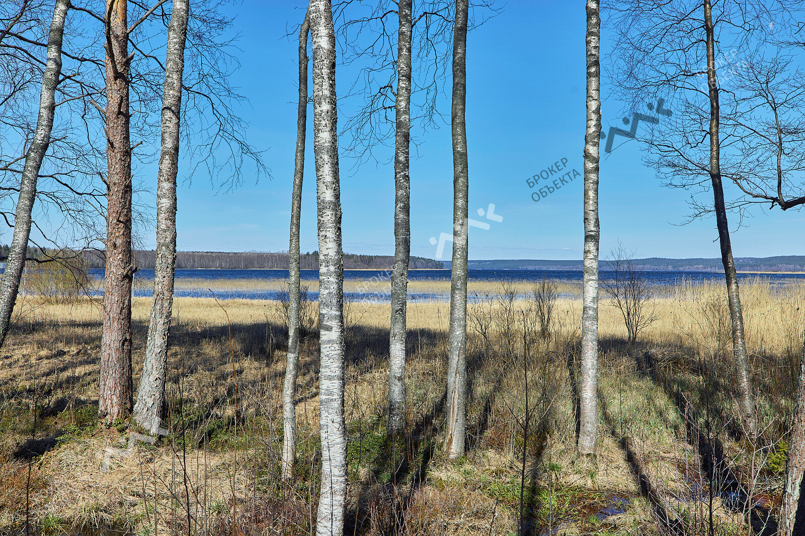 Фото объекта
