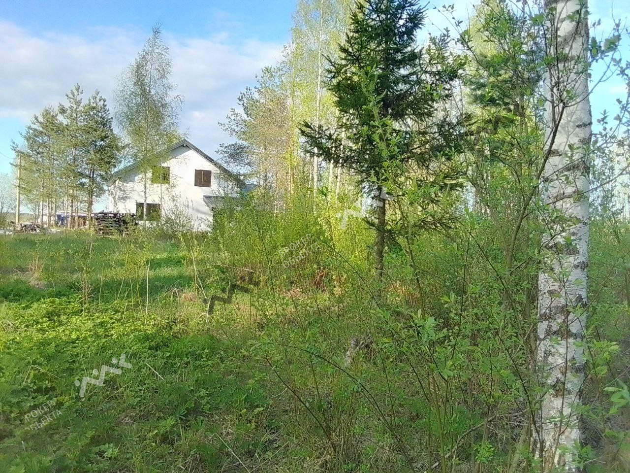 Фото объекта