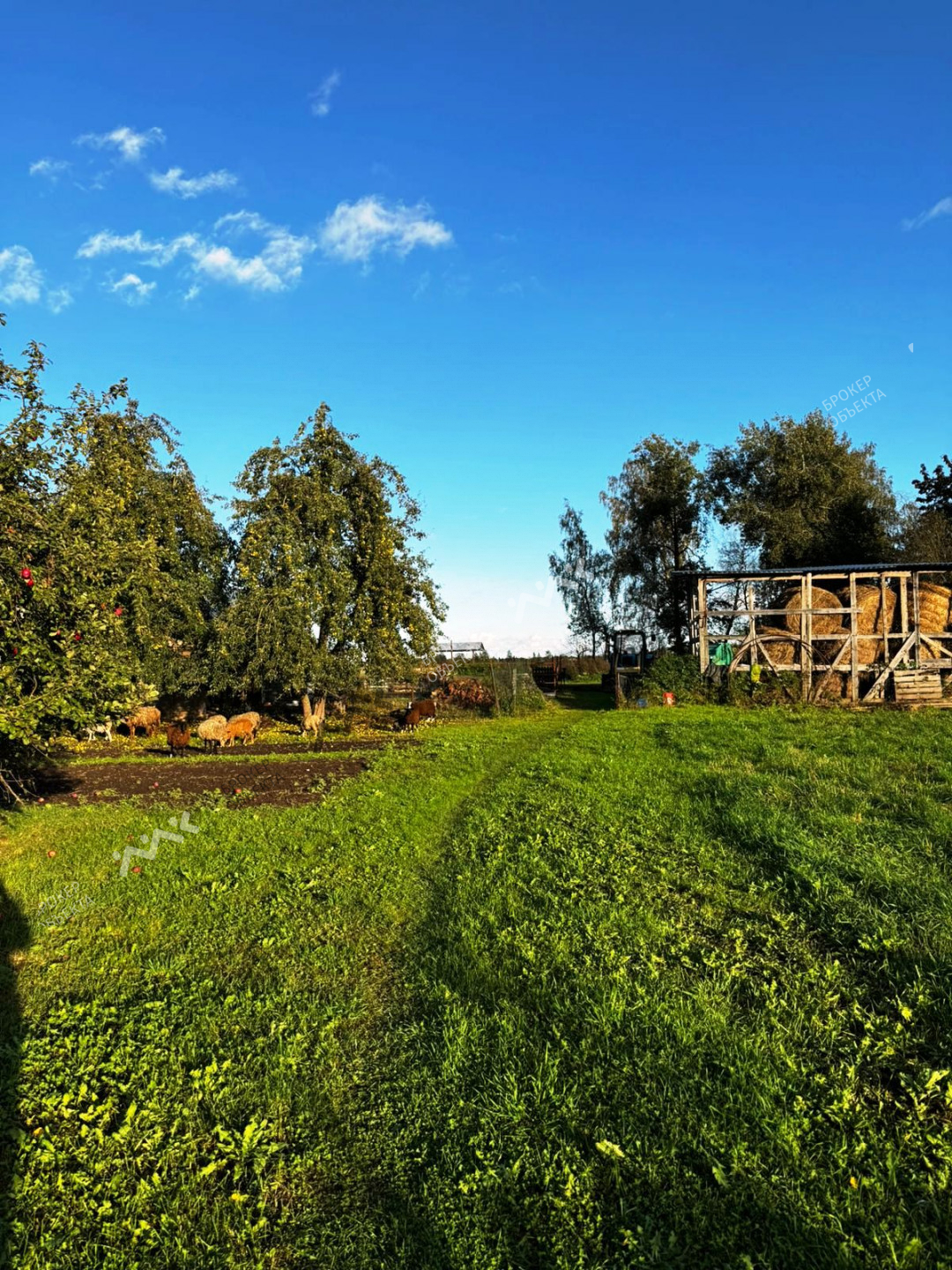 Фото объекта